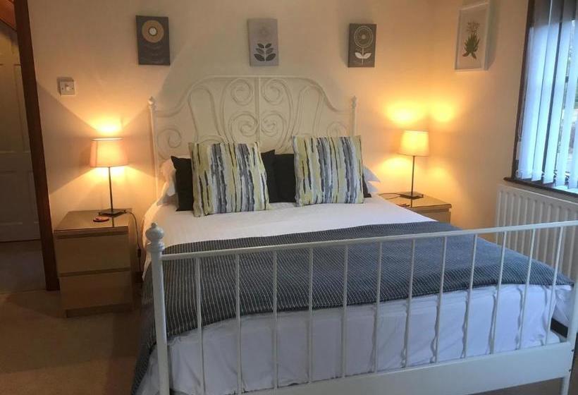 Oaklodge Bed And Breakfast