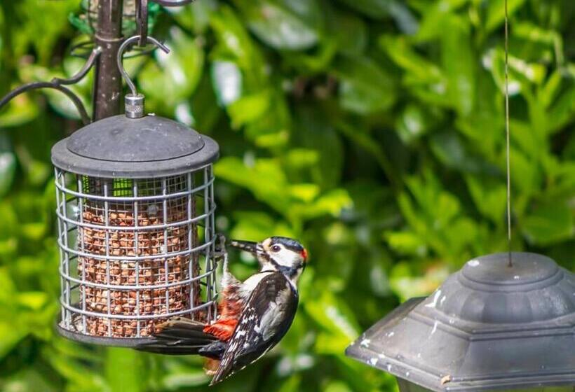 Pretty Maid House B&b