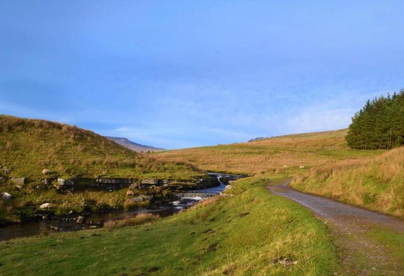 The Garsdale Bed & Breakfast   Goats And Oats At Garsdale