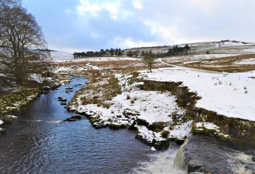 The Garsdale Bed & Breakfast   Goats And Oats At Garsdale