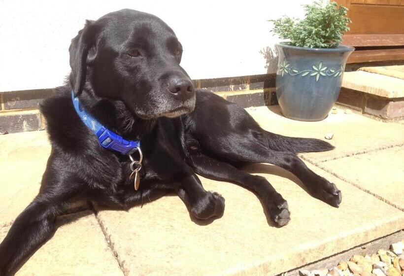 The Stables B&b @ Pear Tree Cottage