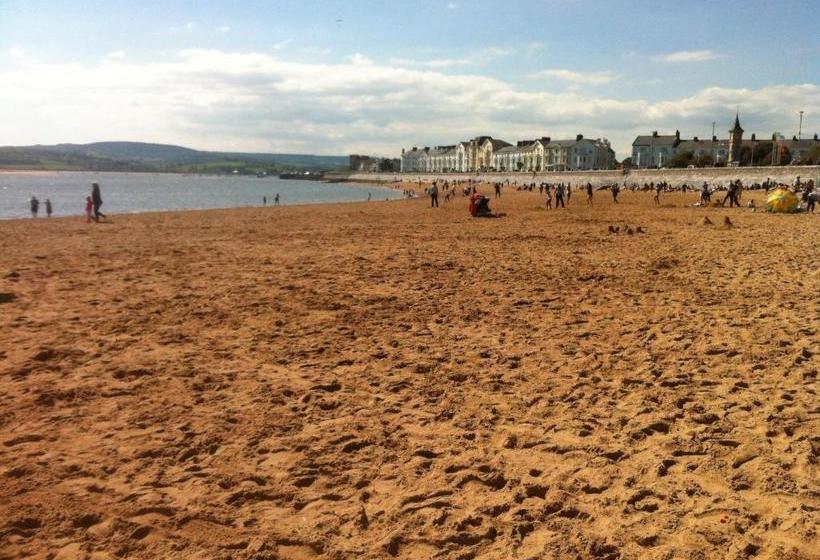 تختخواب و صبحانه The Swallows B And B