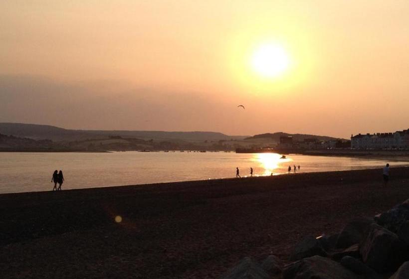 تختخواب و صبحانه The Swallows B And B