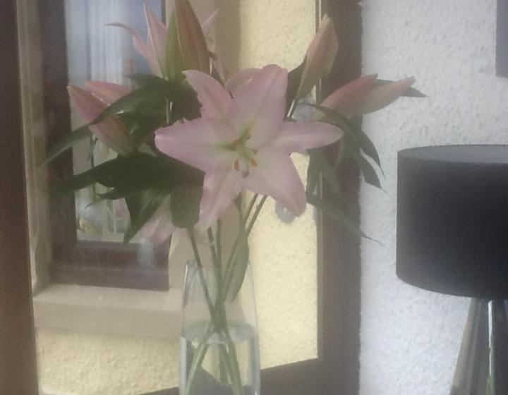 Bed and Breakfast Room Only At Wetherby Nairn