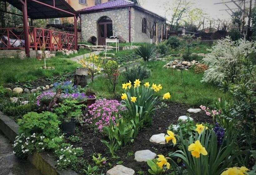 هاستل Guesthouse Lilia &wine Celler