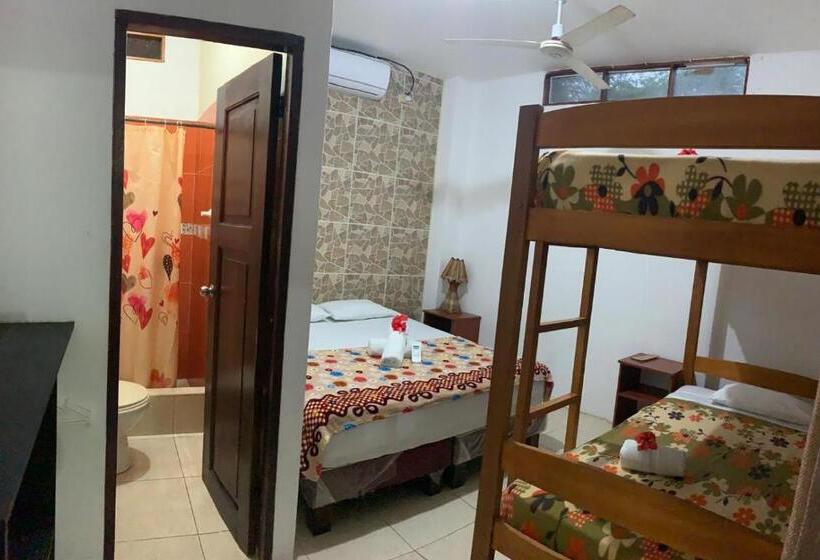 هاستل Hostal Casa Taisha