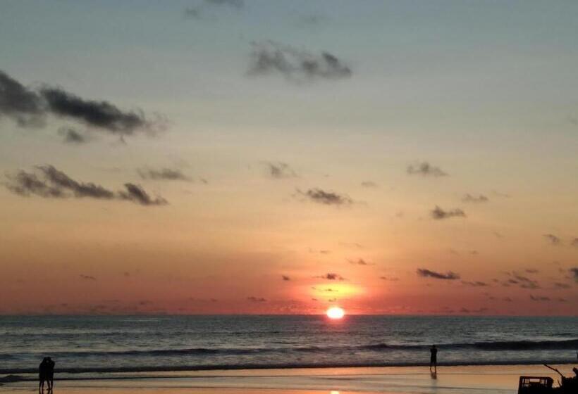 هاستل Hostal Casa Taisha