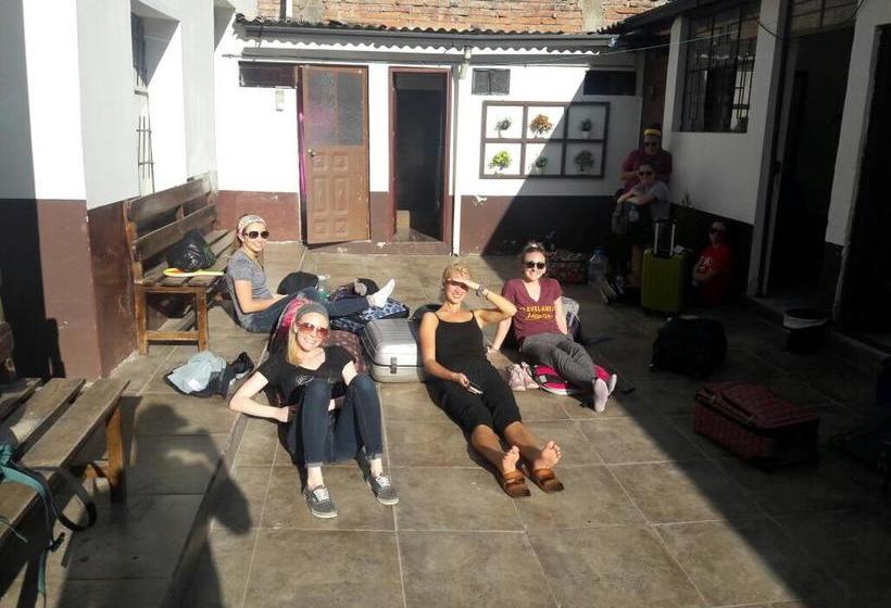 فندق صغير The Backpacker Hostal