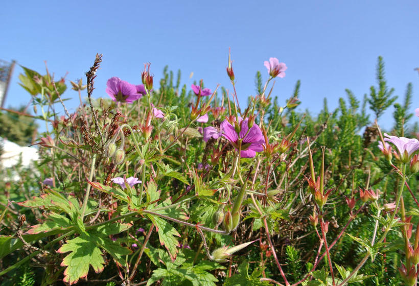 Bay View Bed And Breakfast