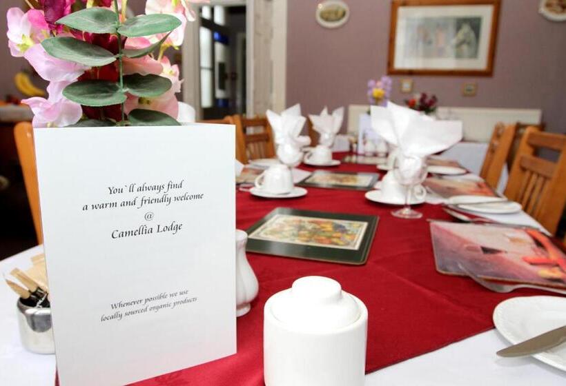 ベッドアンドブレックファースト Camellia Lodge Guest House