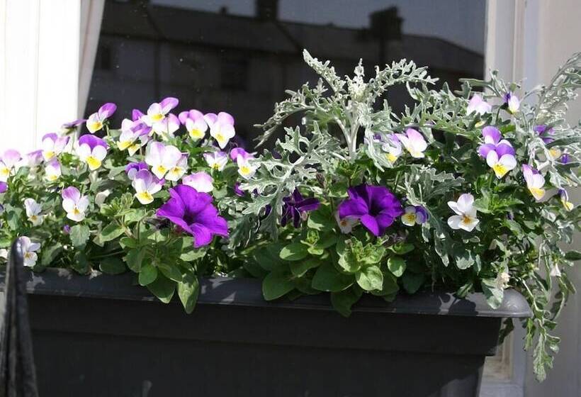 민박 Cromwell House