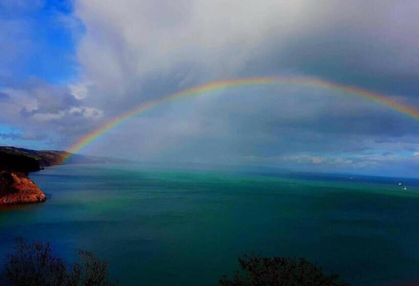 Bed and Breakfast Crowndale Torquay   Exclusively For Adults