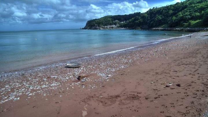 Bed and Breakfast Crowndale Torquay   Exclusively For Adults