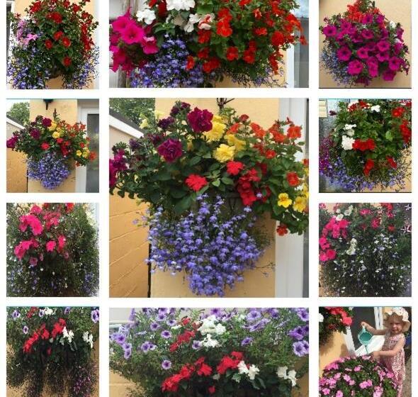 Bed and Breakfast Crowndale Torquay   Exclusively For Adults