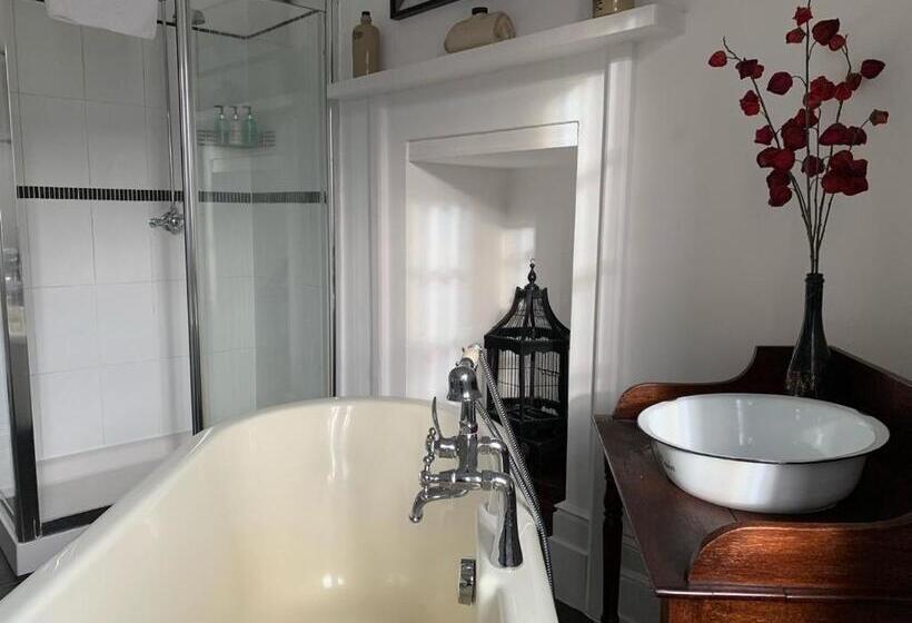 Bed and Breakfast Gothic House