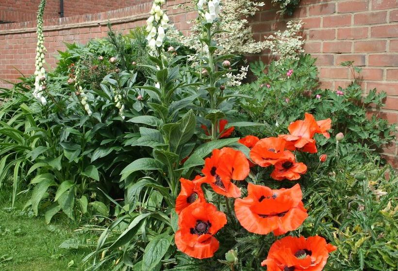 Bed and Breakfast Hanwell House