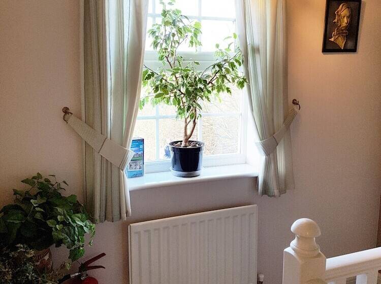 Bed and Breakfast Hanwell House