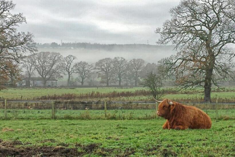 مبيت وإفطار Hillview Park