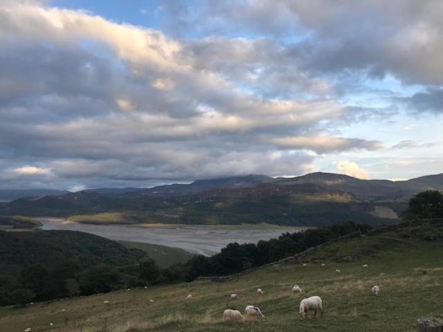 Bed and Breakfast Lawrenny Lodge