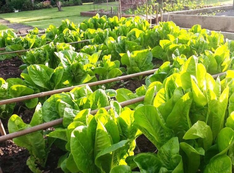 مبيت وإفطار Ternhill Farm House   5 Star Guest Accommodation With Optional Award Winning Breakfast