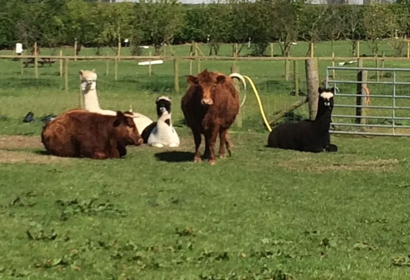 مبيت وإفطار The Farm Burscough