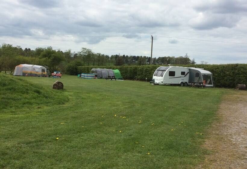 مبيت وإفطار The Farm Burscough