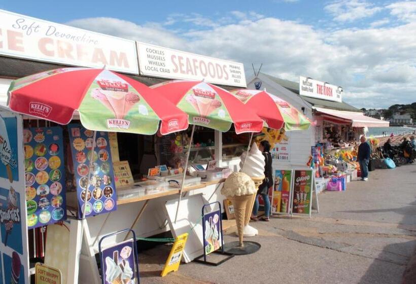 تختخواب و صبحانه The P&m Paignton Residence