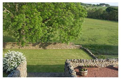 住宿加早餐 Yellow House