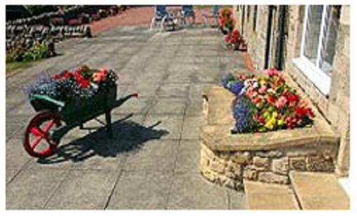 住宿加早餐 Yellow House