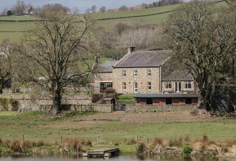 住宿加早餐 Yellow House