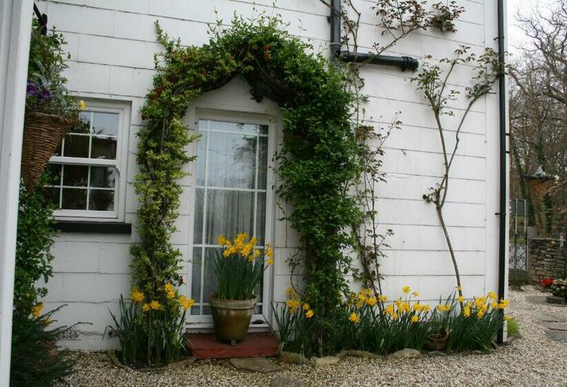 Clayhill House Bed & Breakfast