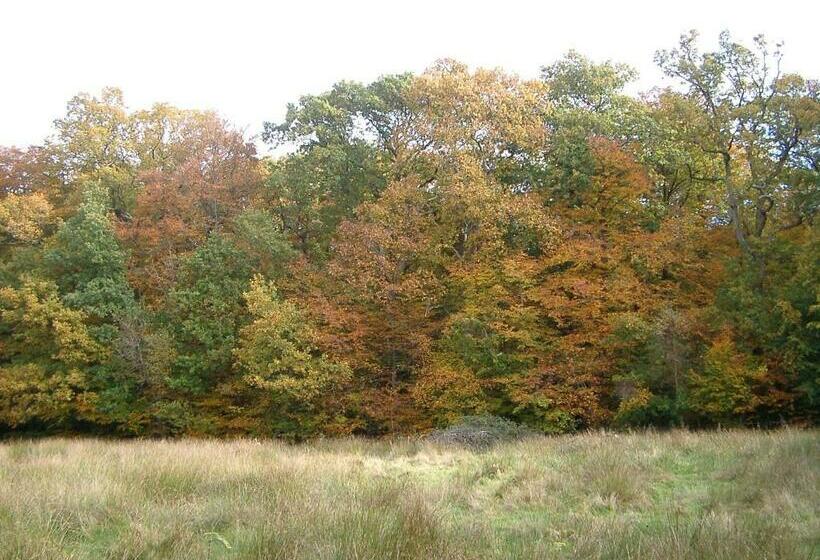 Clayhill House Bed & Breakfast