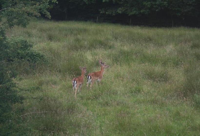 Clayhill House Bed & Breakfast