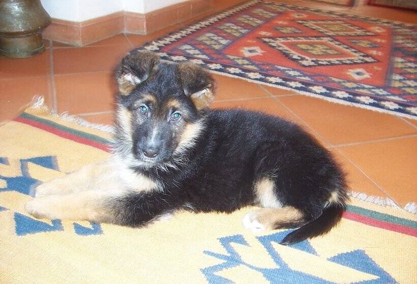 هتل Agriturismo Il Paradiso