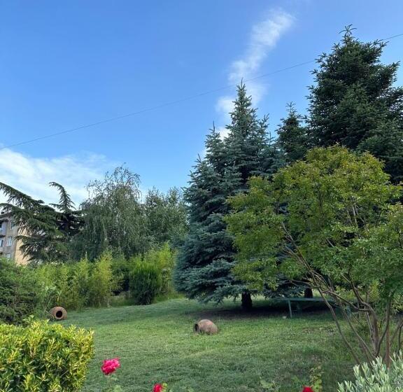 هتل Alazani Valley