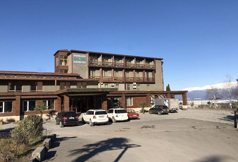 هتل Alazani Valley