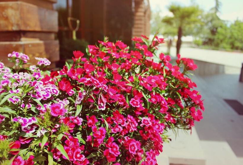 هتل Alazani Valley