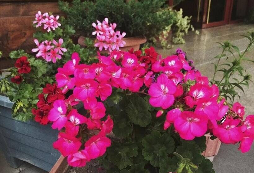 هتل Alazani Valley