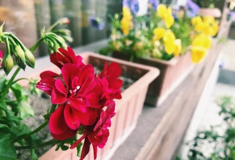 هتل Alazani Valley