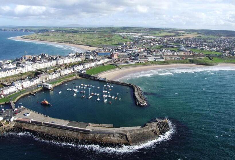 בית מלון כפרי Albany Lodge