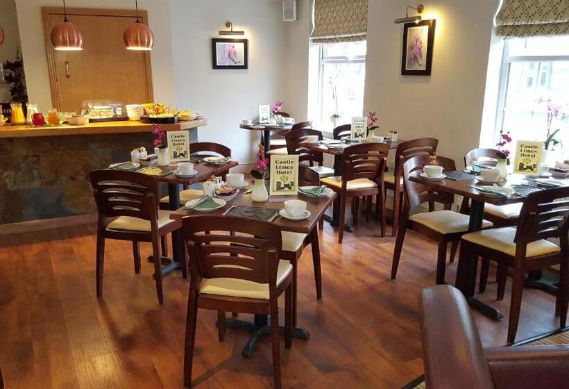 בית מלון כפרי Castle Limes