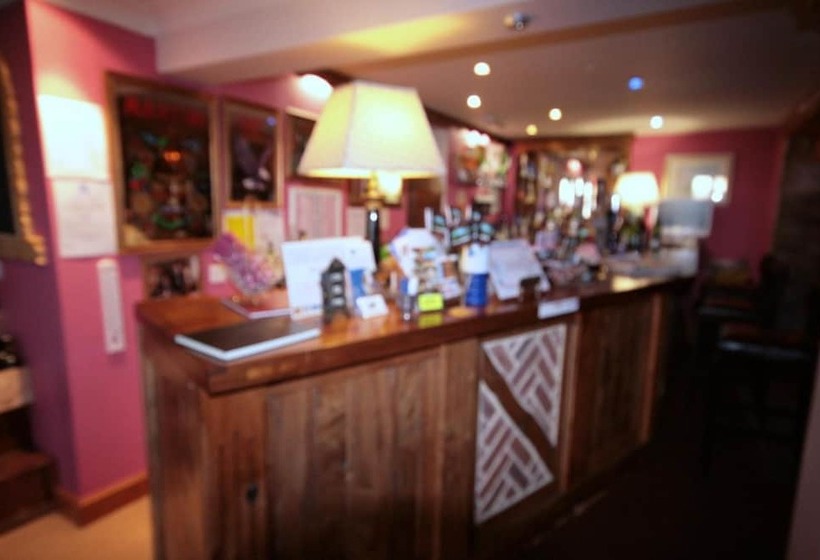 Отель Great Danes Licenced Guesthouse