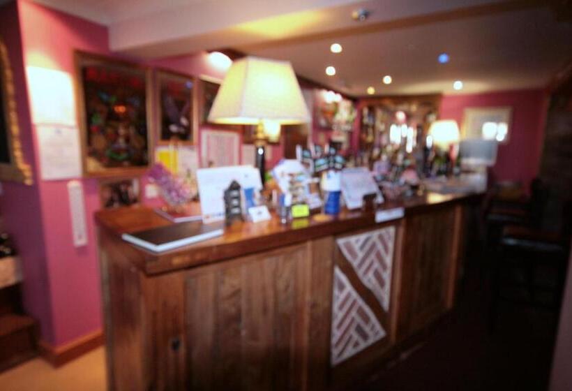 Отель Great Danes Licenced Guesthouse