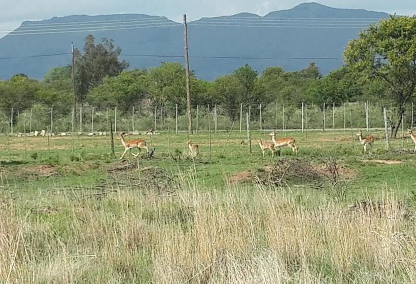 فندق Maidenhead Country Lodge