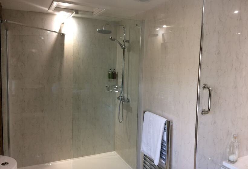 Отель Old White Hart