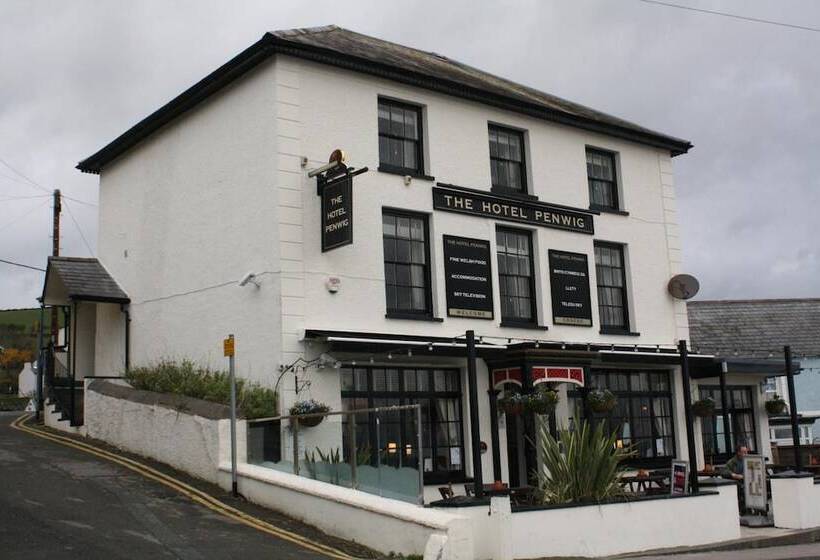 בית מלון כפרי Penwig