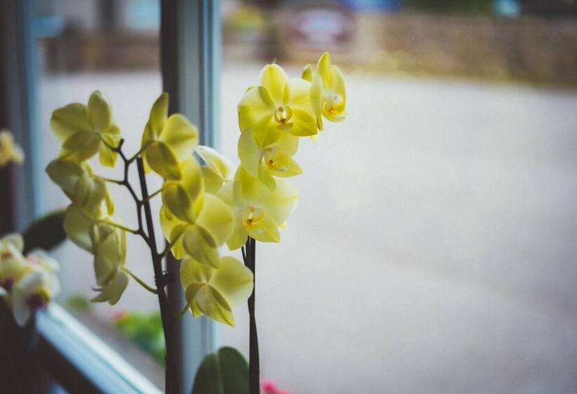 Отель Sunninghill