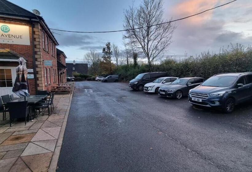 The Avenue Hotel Ltd