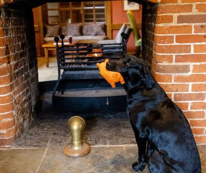 Отель The Bell Inn