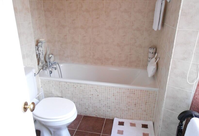 فندق The Globe Inn